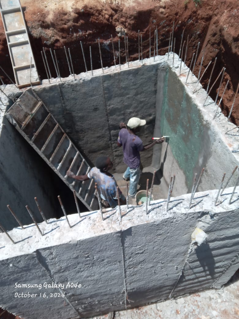 Pahali Pazuri project - Progress view